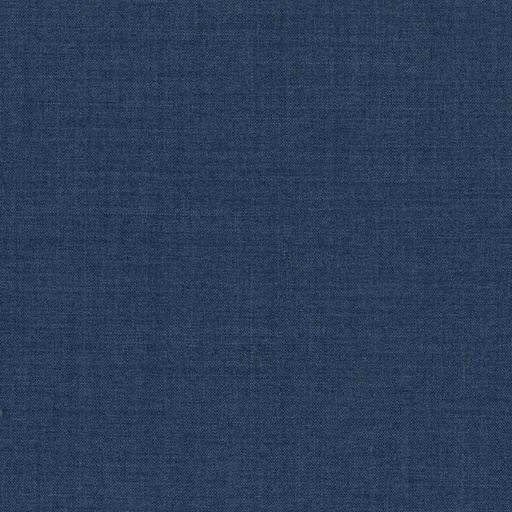 [319947] BLUE, PLAIN (DR# 17048)