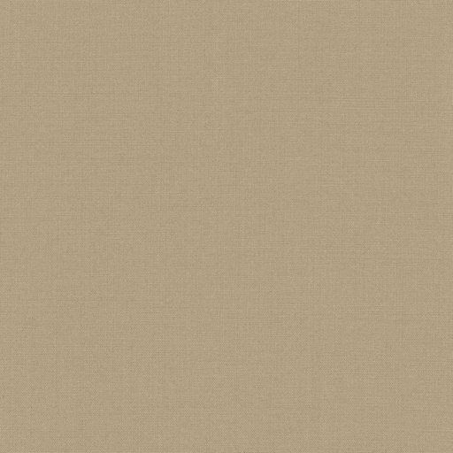 [319951] TAN, PLAIN (DR# 17052)