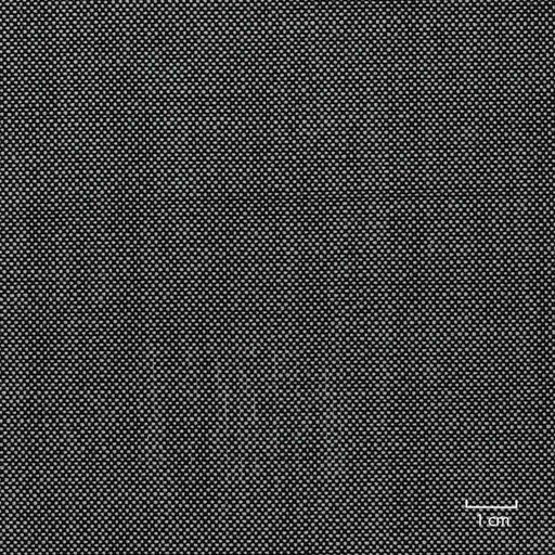 [353607] OFF_WHITE,BLACK PLAIN