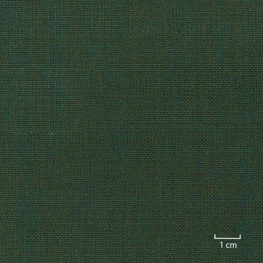 [353618] GREEN,PLAIN