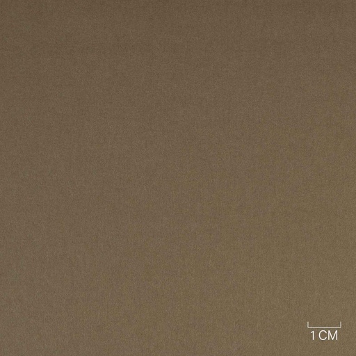 [353802] CAMEL, PLAIN