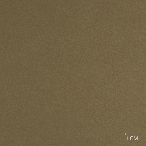 [353830] BROWN, PLAIN
