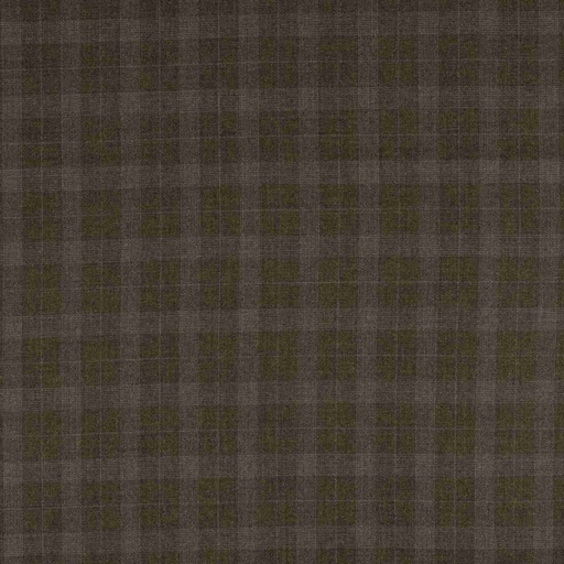 [353903] BROWN, CHECKS