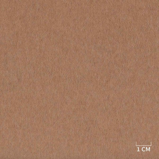 [320223] BROWN,PLAIN (DR# 85123)