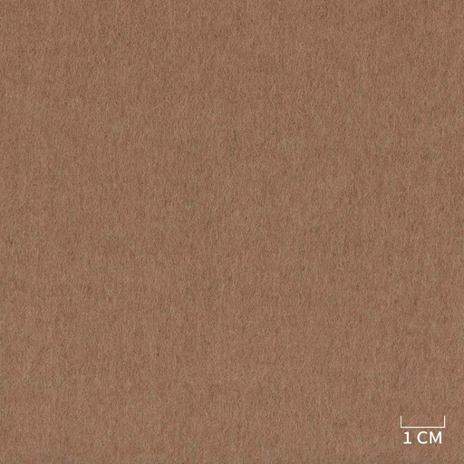 [320233] BROWN,PLAIN (DR# 85133)