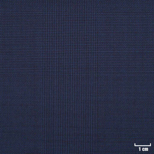 [229115] BLUE, CHECKS
