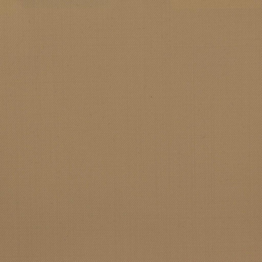 [451812] TAN, PLAIN