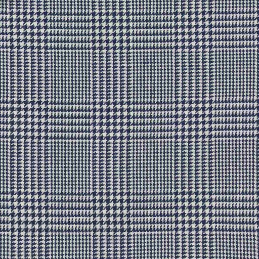 [660226] BLUE, WHITE CHECKS