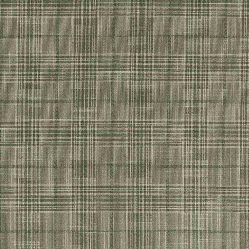[660335] LIGHT GREEN,CHECKS